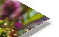 Hebe Flower  HD Metal print