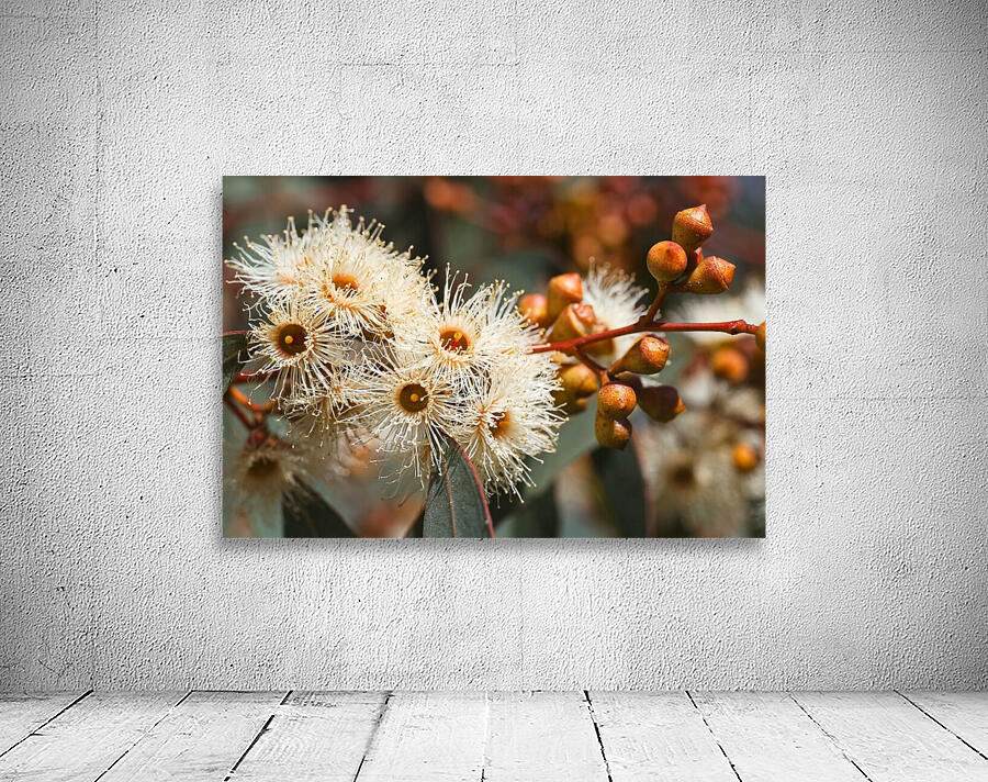 Spring Eucalyptus Flowers Wall Preview