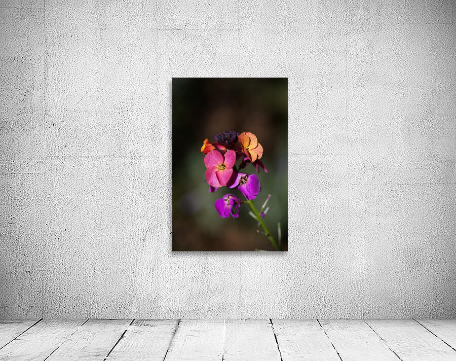 Wallflower Wall Preview