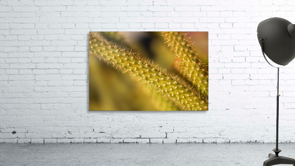 Cactus Spikes Wall Preview