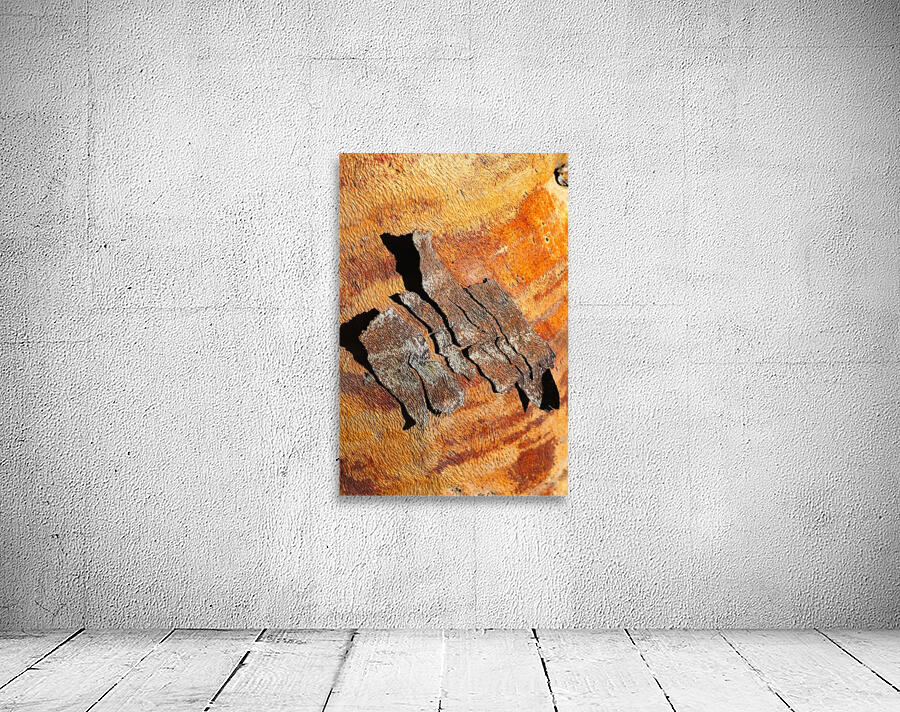 Flowering Gum Bark Wall Preview