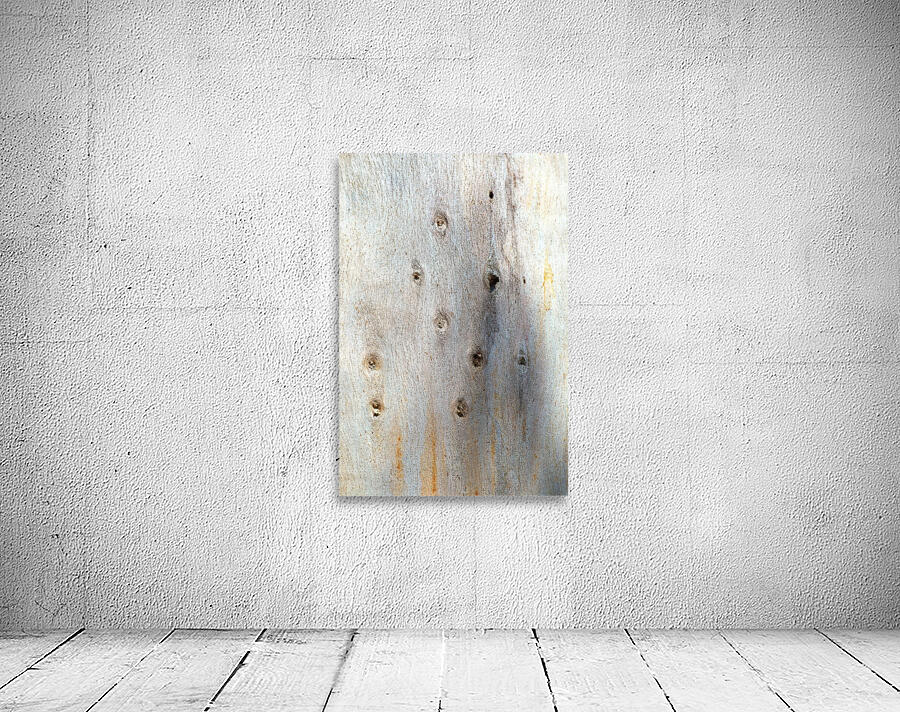 Eucalyptus Trunk Knots Wall Preview
