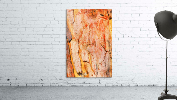 Eucalyptus Bark And Patterns Wall Preview