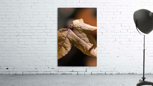 leaf Textures Wall Preview
