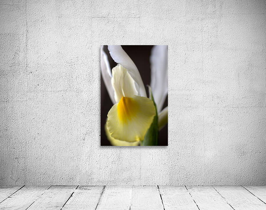 Iris Yellow And White Wall Preview