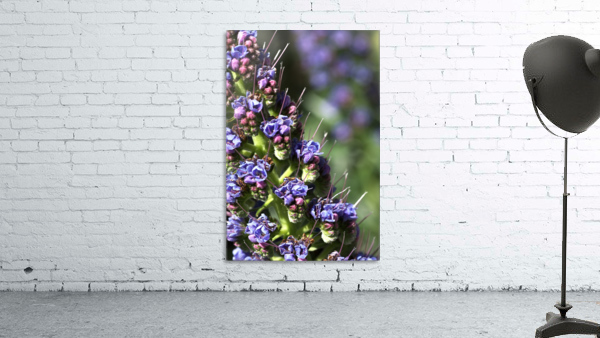 Veronica Flower Wall Preview