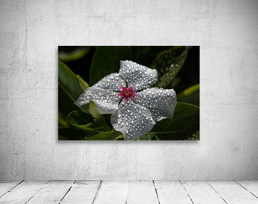 Natures Glitter Wall Preview