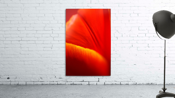 Dear Tulip Wall Preview