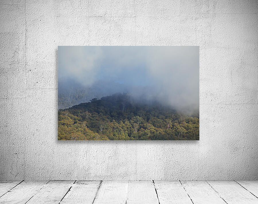 Trees Within Her Mist Wall Preview