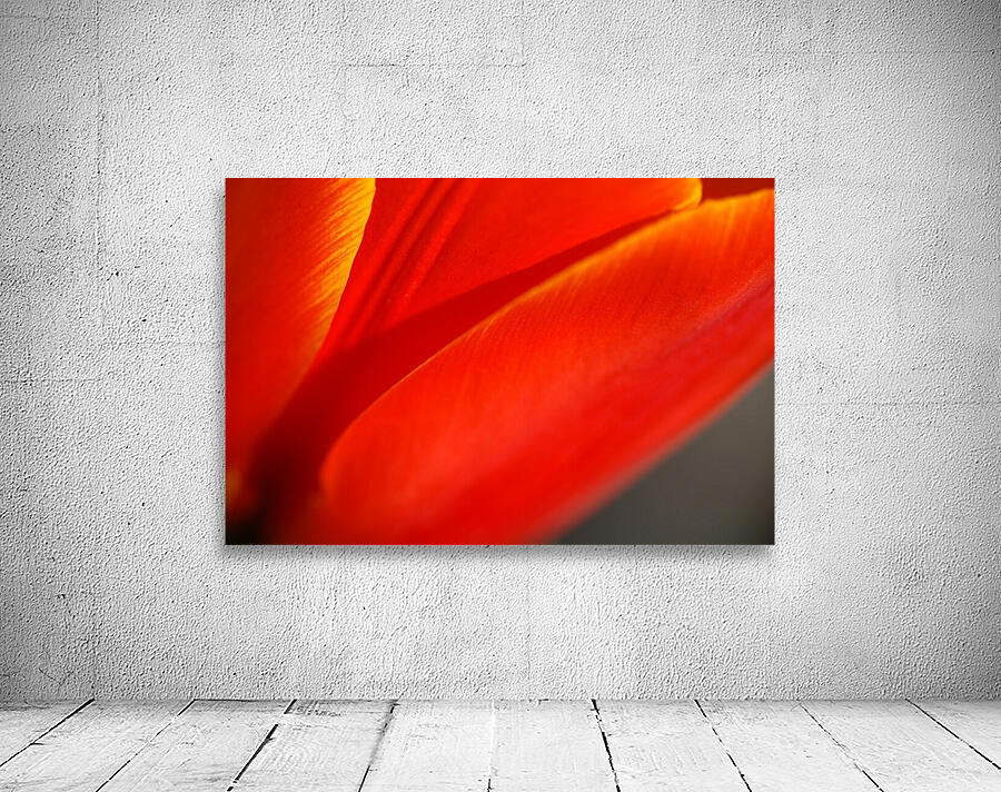 Tulips Structure   Wall Preview