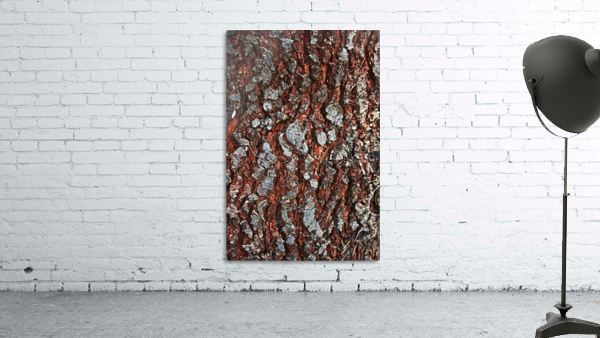 Pine Tree Bark On Trunk Wall Preview