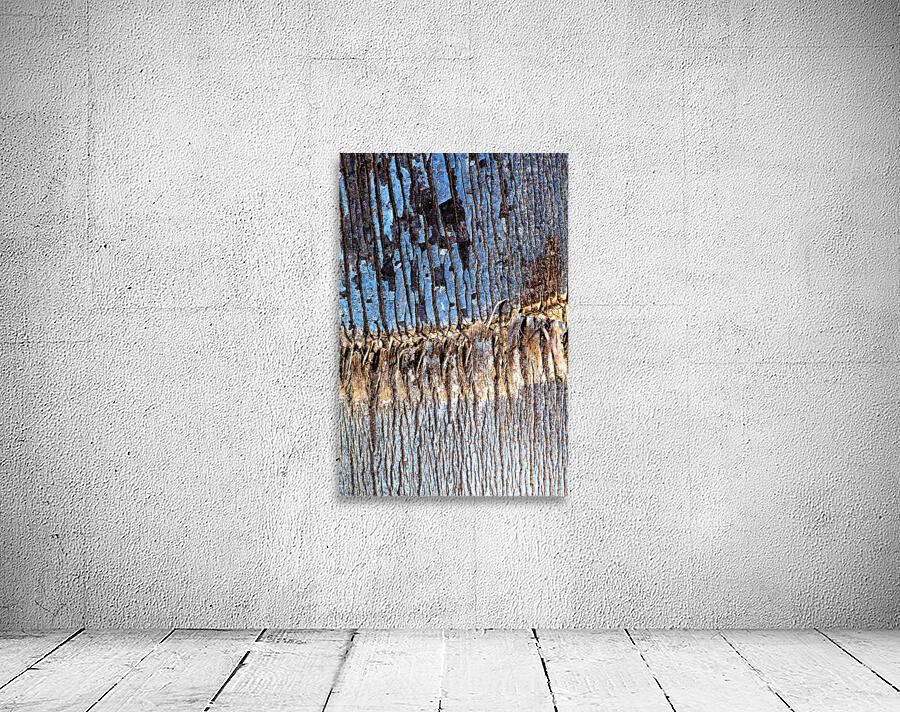 Palm Tree Trunk Blues Wall Preview