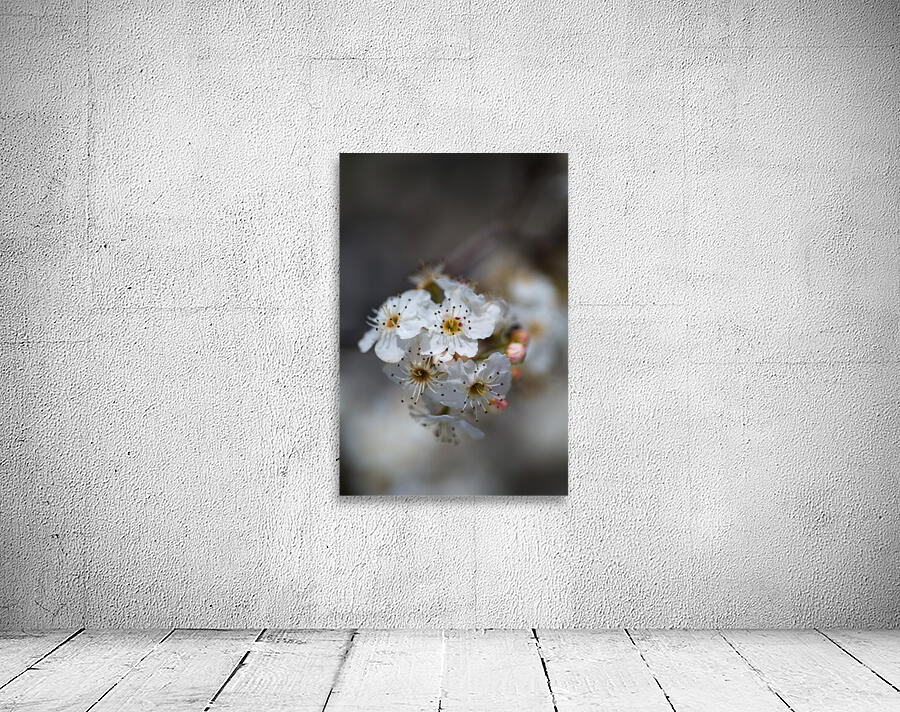 Blossom Spring Delight  Wall Preview