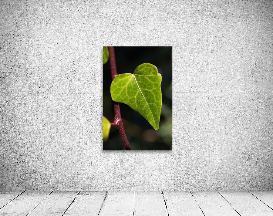 Leaf Heart Wall Preview
