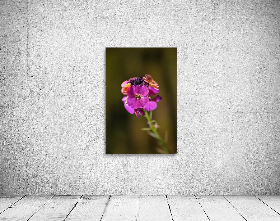 Wallflower Palette  Wall Preview