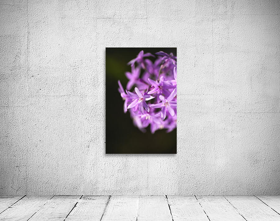Purple Flower Ring Wall Preview