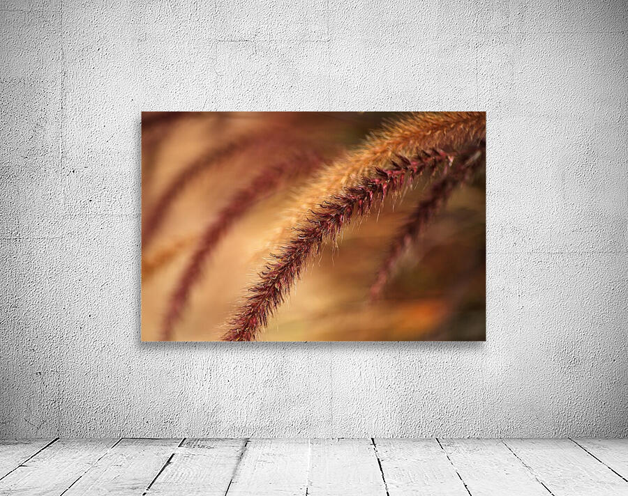 Grasses Wild Wall Preview