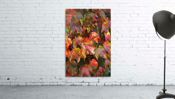 Autumn Leaves Wall Preview