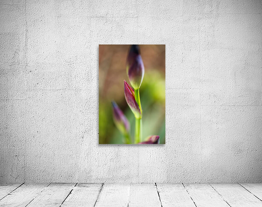 Iris Leaf Purple Buds Wall Preview