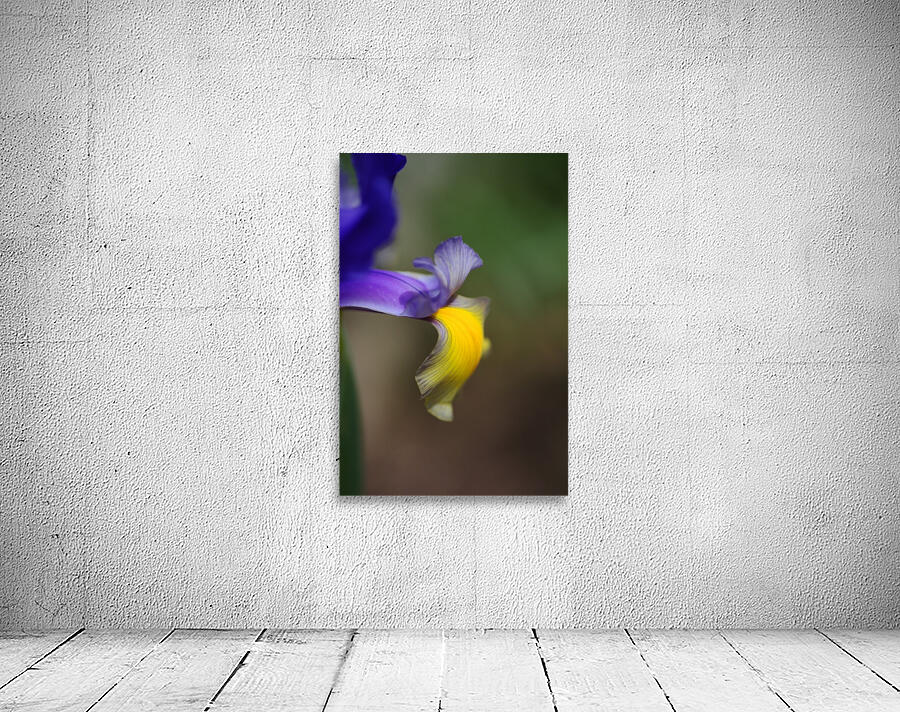 Iris Face Petals Wall Preview