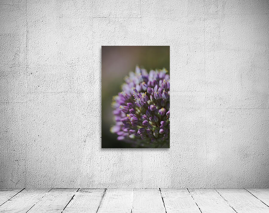 The Garlic Flower Wall Preview
