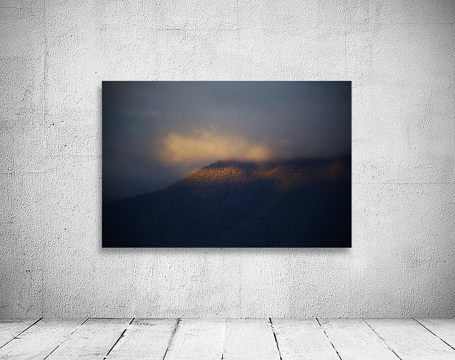 Soft Light At Sunset Wall Preview
