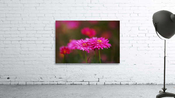Hot Pinks Double Flower Wall Preview