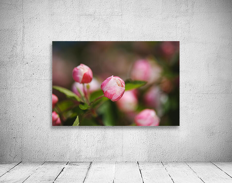 Spring Blossom Cheers  Wall Preview