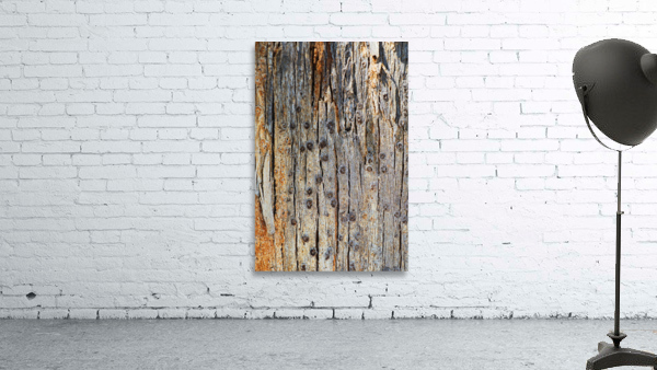  Eucalyptus Tree Bark Design Wall Preview