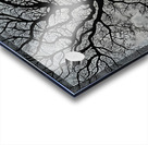 STORMY NIGHT   24 x 24 Gallery Canvas   Metallic Acrylic print