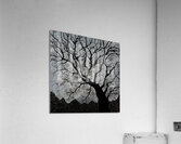 STORMY NIGHT   24 x 24 Gallery Canvas   Metallic Acrylic Print