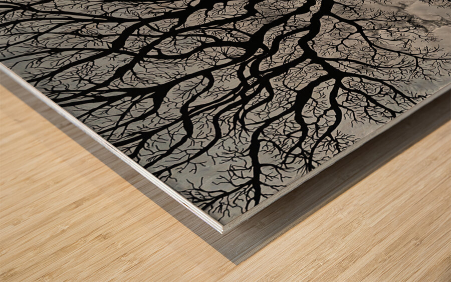 STORMY NIGHT   24 x 24 Gallery Canvas   Metallic Wood print