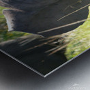 P1000407 copy Metal print