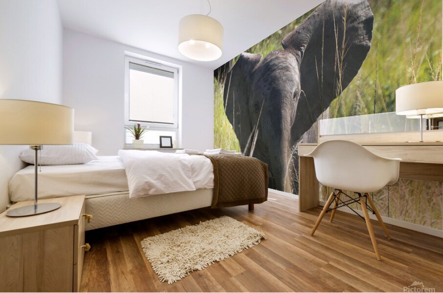 P1000407 copy Mural print