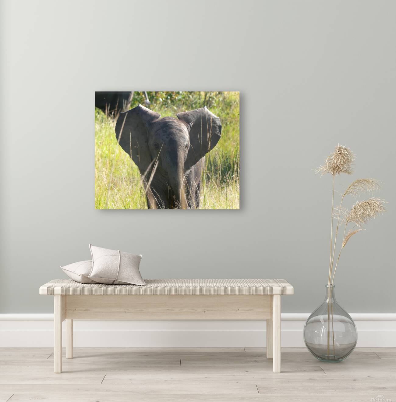 P1000407 copy Reproduction