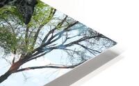 9 copy HD Metal print