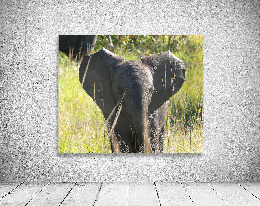 P1000407 copy Wall Preview