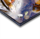 Brook Trout arrow head Acrylic print
