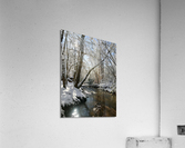 Snowy day Acrylic Print