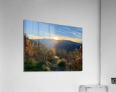 Burl Gap Overlook Acrylic Print