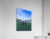 Peaceful Grazing  Acrylic Print