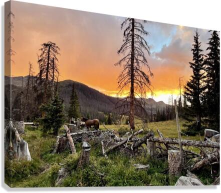 High Mountain Camp Sunset  Canvas Print