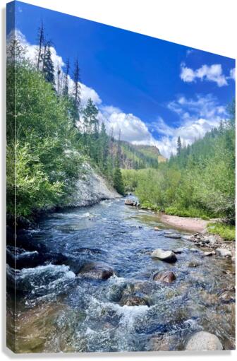 Pole creek Too Canvas Print