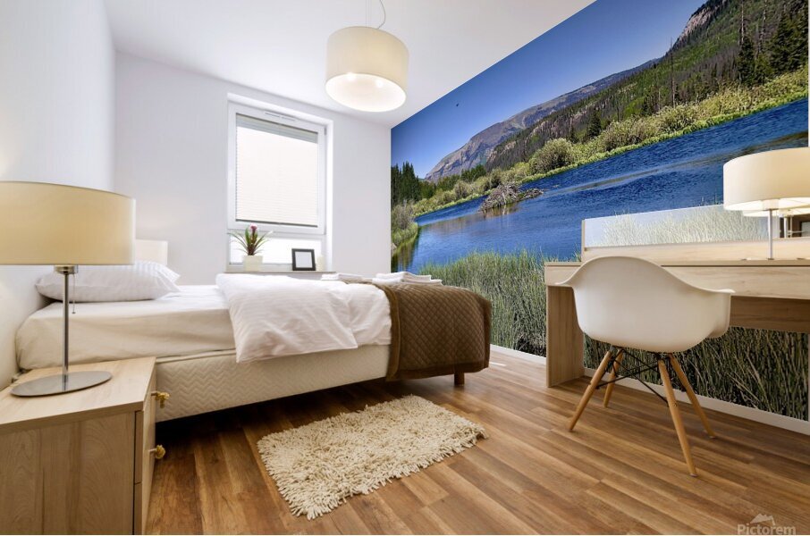 Beaver heaven Mural print
