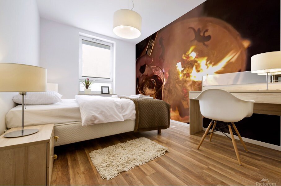 Firepit reflctions Mural print