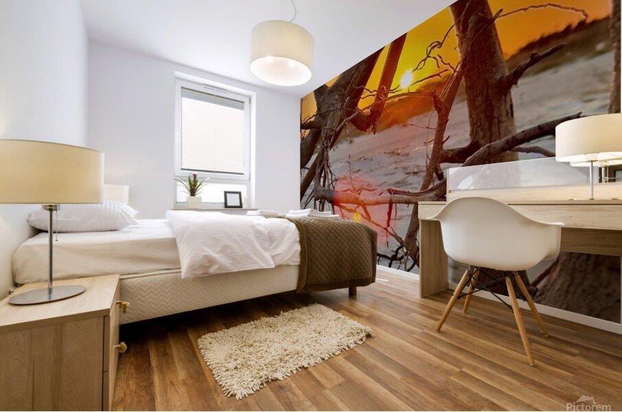 Driftwood sunset  Mural print