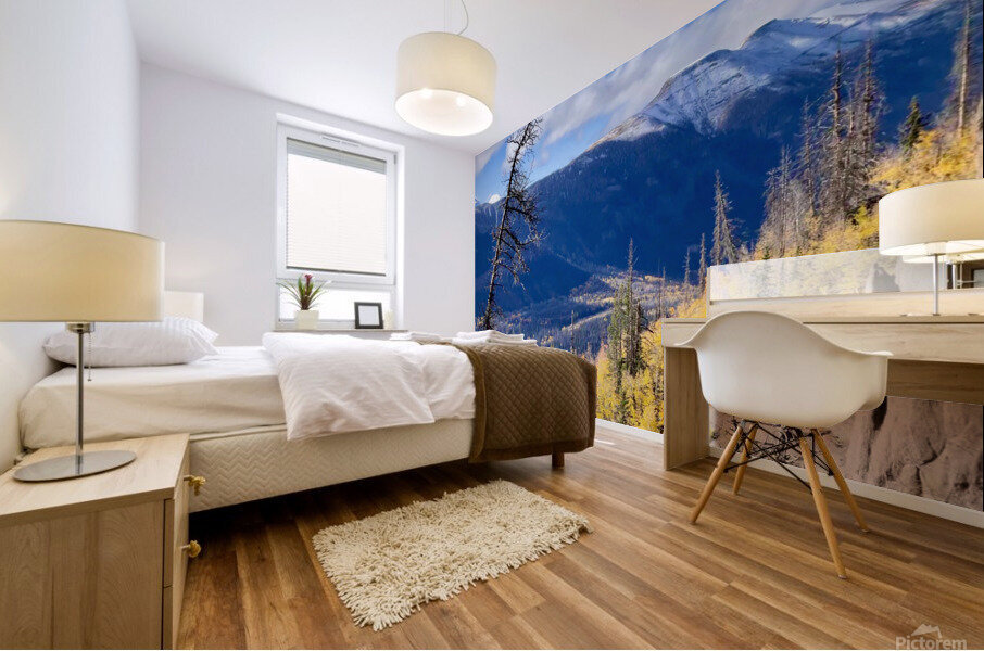 Mountain vista Mural print