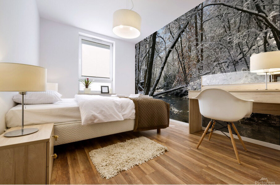 Snowy day Mural print