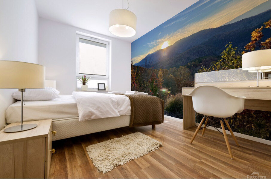 Burl Gap Overlook Mural print