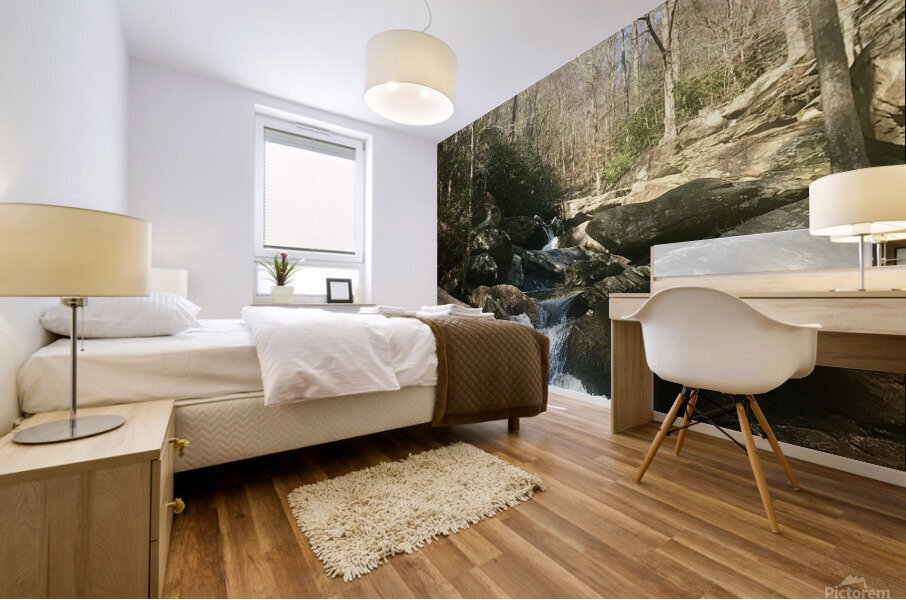Go Forth Creek Mural print